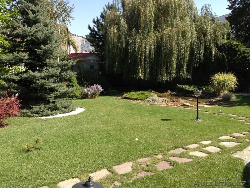 Рулонный газон. Укладка, стрижка и др. - Изображение #5, Объявление #1290810