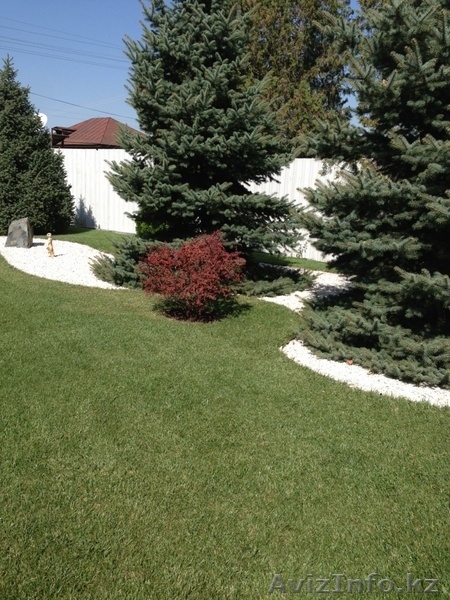Услуги садовника. Обслуживание участка. - Изображение #2, Объявление #1287006