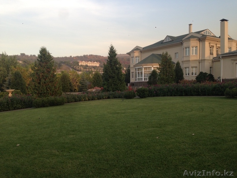 Рулонный газон. Укладка, стрижка и др. - Изображение #4, Объявление #1290810