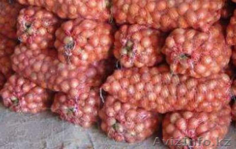 Компания АгроХимПром KZ реализует овощи оптом . - Изображение #1, Объявление #1287716