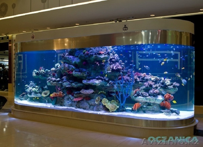 Аквариумы на заказ и готовые - Изображение #3, Объявление #1284557