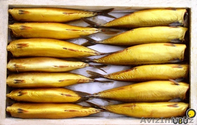 Скумбрия. Скумбрия (без головы) холодного копчения 630 - Изображение #2, Объявление #1299954