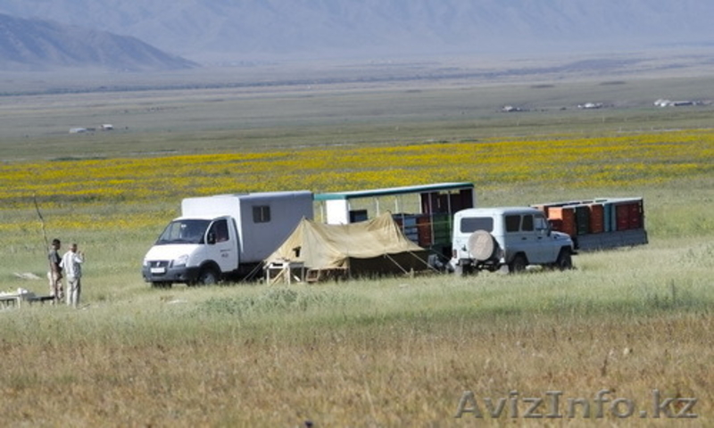 Мёд в Алматы. Эспарцетовый мёд. - Изображение #3, Объявление #1305145
