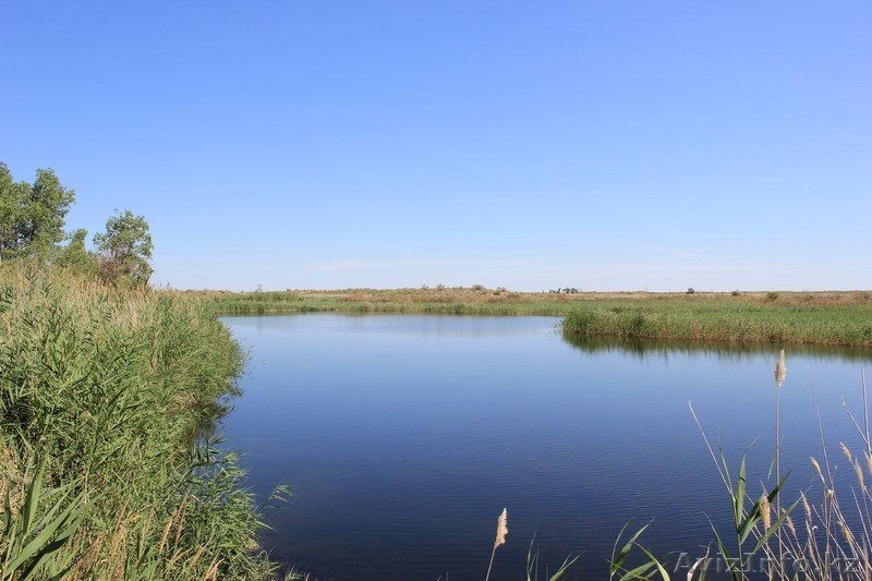 Транспортные услуги Делика, Delica. Алматы, Almaty - Изображение #3, Объявление #1305678