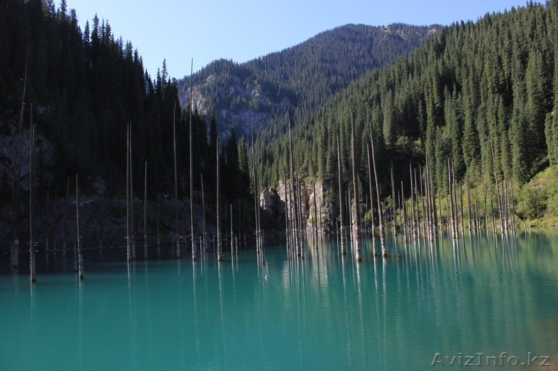 Пассажирские перевозки Делика, Delica. Алматы, Almaty - Изображение #2, Объявление #1304560