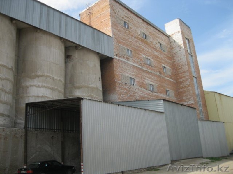 Мука и Отруби оптом от Производителя. По стандартам ГОСТ.  - Изображение #2, Объявление #1302127