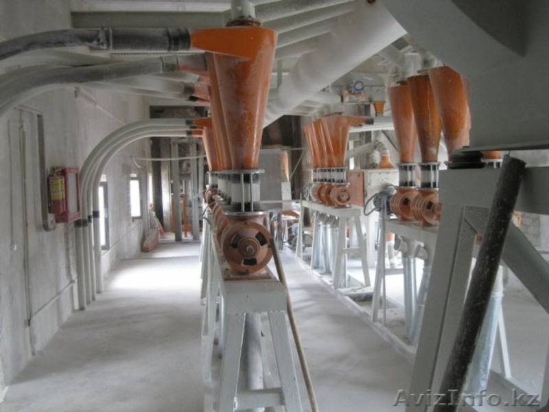 Мука и Отруби оптом от Производителя. По стандартам ГОСТ.  - Изображение #3, Объявление #1302127