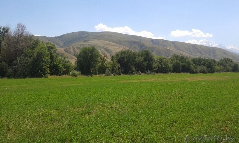 Участок 102 га в р-не п. Азат - Изображение #1, Объявление #1222092