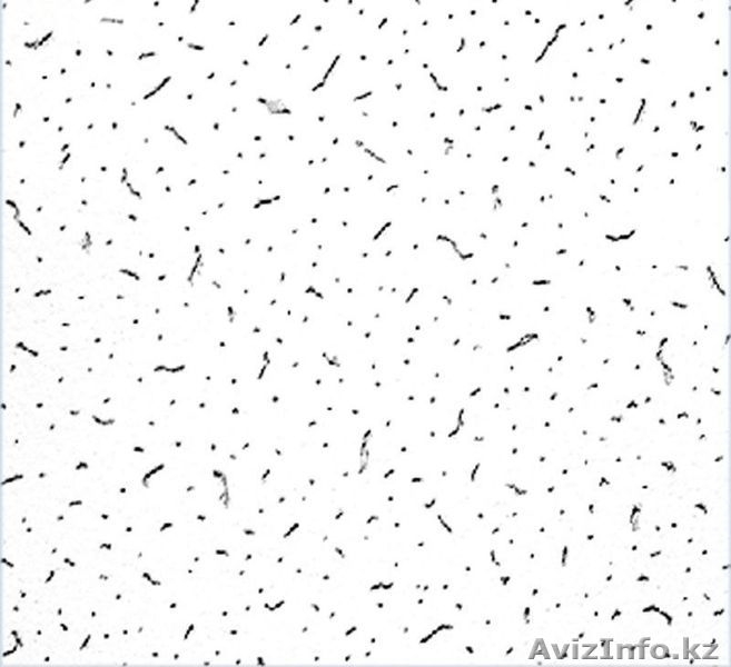 ПЛИТА ARMSTRONG BAJKAL, BOARD, 600*600 - Изображение #1, Объявление #1310158