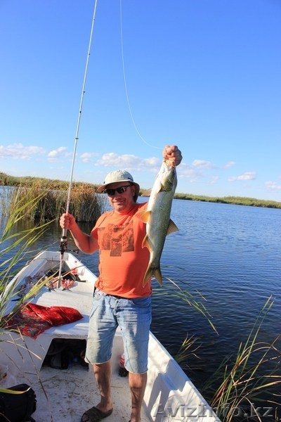 Туры на рыбалку о.Балхаш - Изображение #3, Объявление #1314888