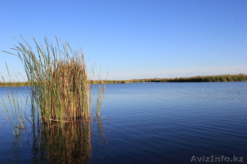  Делика (Delica)  поездки на рыбалку и отдых - Изображение #3, Объявление #1313270