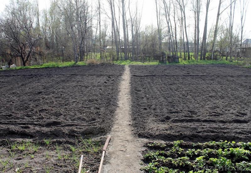 Продам дом в с. Узынагаш - Изображение #3, Объявление #1312958