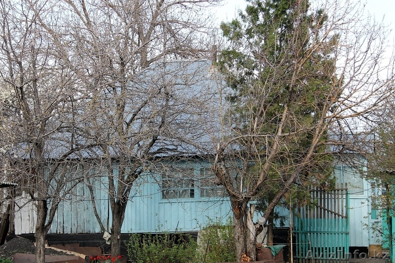 Продам дом в с. Узынагаш - Изображение #2, Объявление #1312958