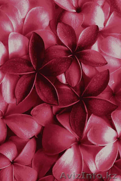 Оптовая продажа различных видов напольных покрытий  российских и зарубежных прои - Изображение #10, Объявление #1311237