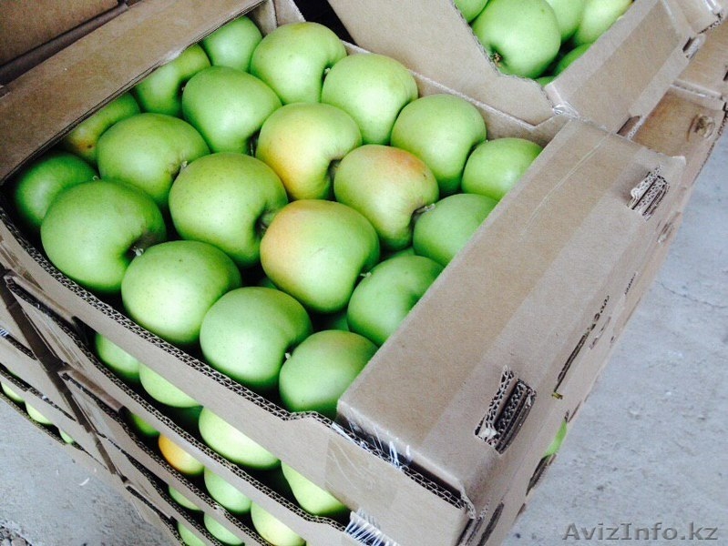 Продам яблоки оптом срочно! Алматы! Разные сорта Апорт Золотой превосходный - Изображение #3, Объявление #1319010
