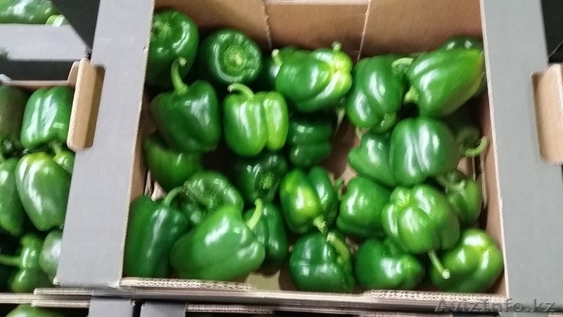 Перец. Прямые поставки из Испании - Изображение #3, Объявление #1328786