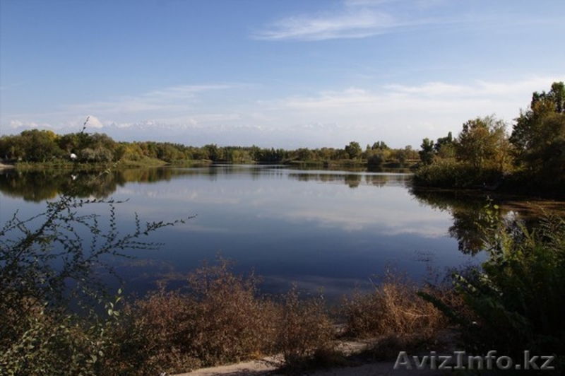 Продам участок в Илийском р-не. Возможна рассрочка! - Изображение #6, Объявление #1329288