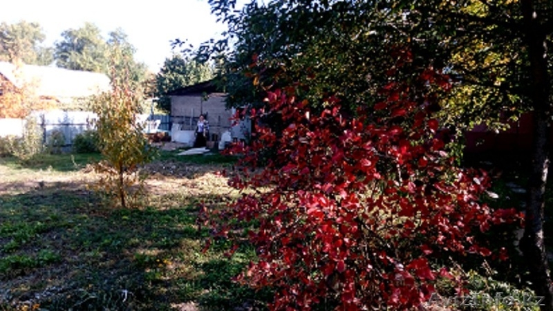 Дом продам, Наурызбайский р-он, Каменка( Таусамалы), торг, срочно - Изображение #2, Объявление #1323666