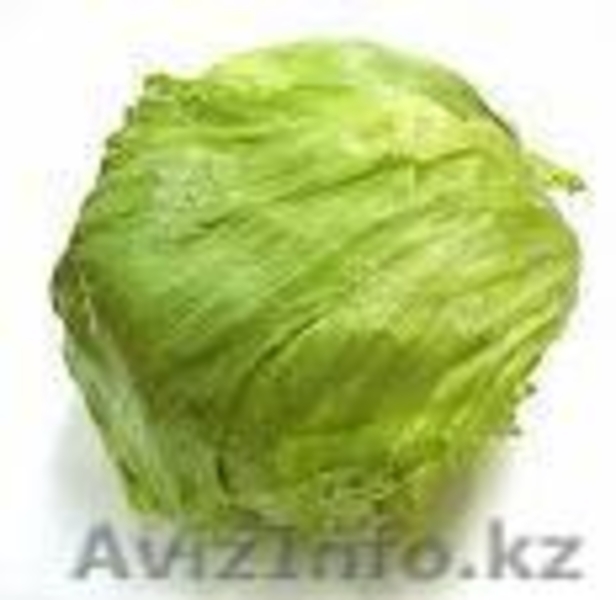 Салат из Испании - Изображение #3, Объявление #1328768