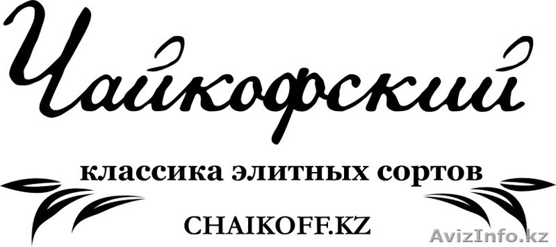 Лучший чай в Алматы - Изображение #5, Объявление #1325770