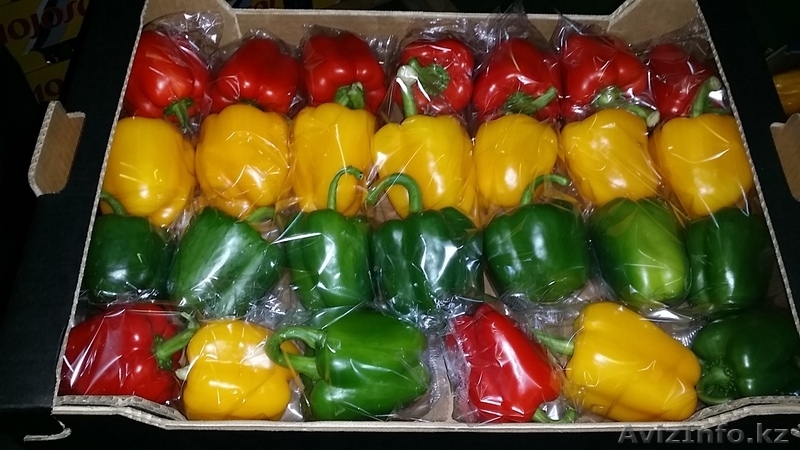 Перец. Прямые поставки из Испании - Изображение #4, Объявление #1328786
