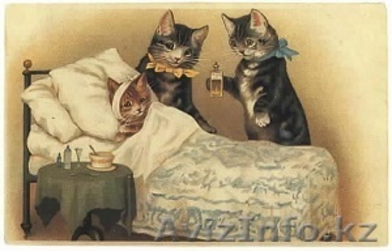 Ветеринарные услуги с выездом на дом, круглосуточно - Изображение #2, Объявление #1271781