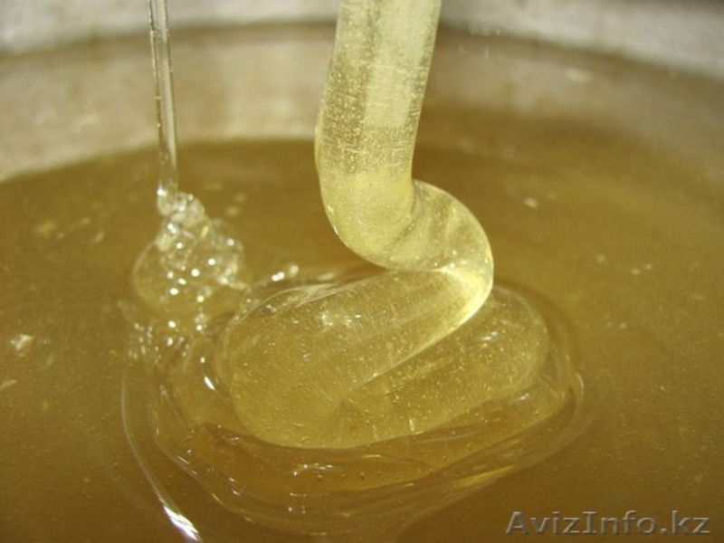 мёд натуральный от пчёлки - Изображение #3, Объявление #1339940