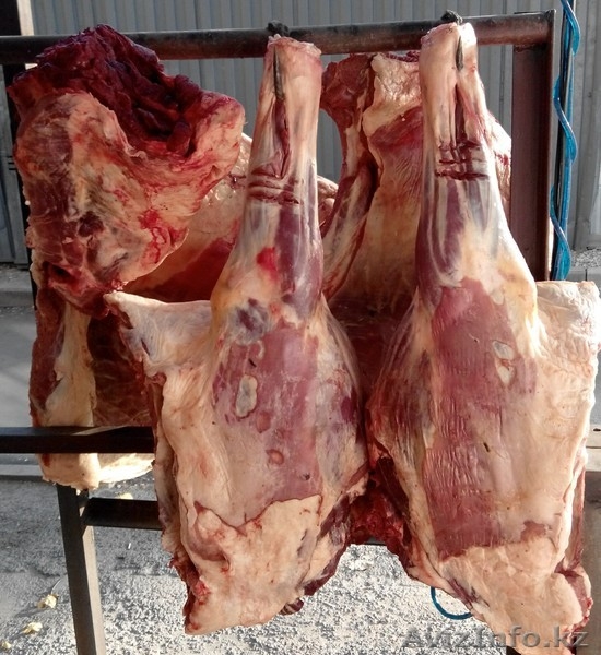 Мясо говядина конина баранина из Кордай и копчённое мясо и  казы  - Изображение #3, Объявление #1224434