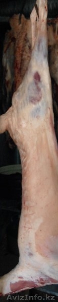 Мясо говядина конина баранина из Кордай и копчённое мясо и  казы  - Изображение #4, Объявление #1224434