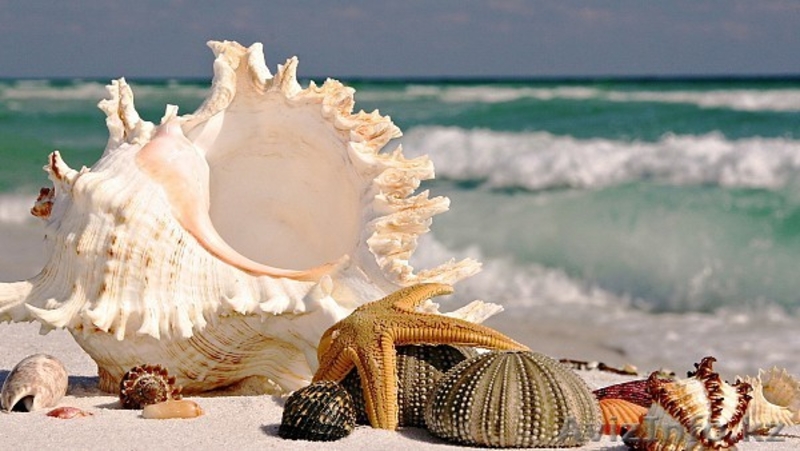 Лучшие туры ОАЭ, ТАЙЛАНД, ГОА в Алматы  - Изображение #4, Объявление #1348610