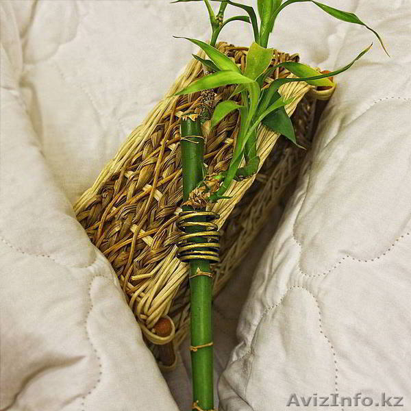 Постельное белье от ПРОИЗВОДИТЕЛЯ - Изображение #5, Объявление #1354116