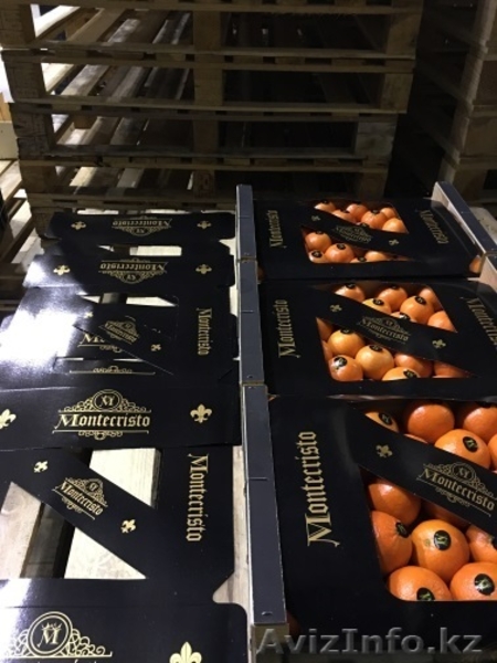 мандарины,апельсины,лимоны из Испании - Изображение #10, Объявление #1129256