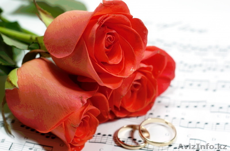 Видео-монтаж, слайд-шоу недорого - Изображение #4, Объявление #1348860