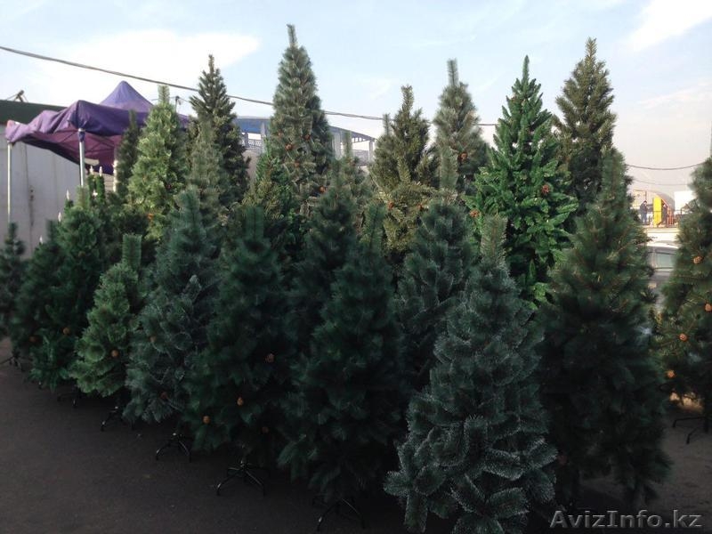Купить новогоднюю елку в Алматы недорого! Бесплатная доставка - Изображение #3, Объявление #1345725