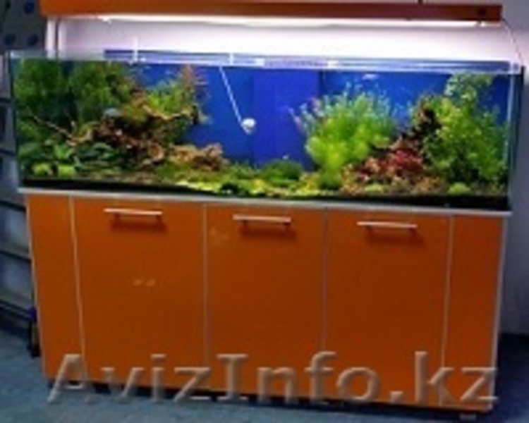 Изготовление и  готовые аквариумы алматы - Изображение #5, Объявление #1365122