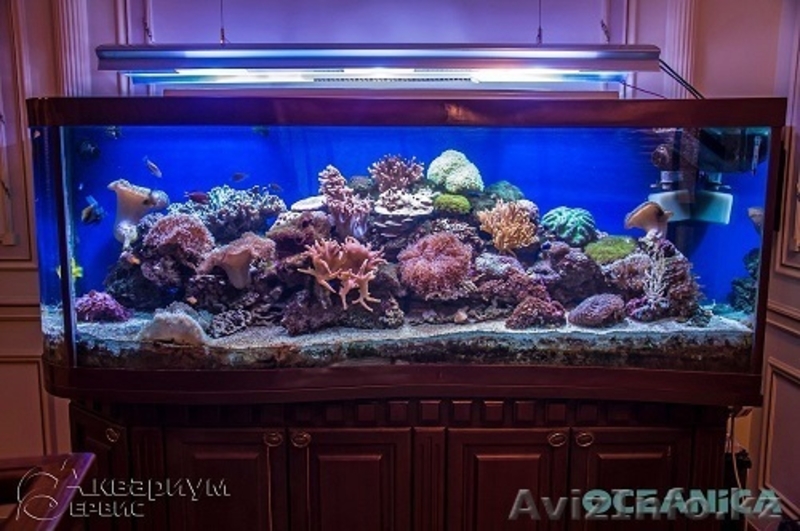 Изготовление и  готовые аквариумы алматы - Изображение #3, Объявление #1365122