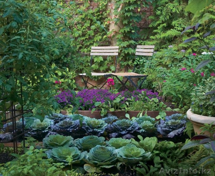 Услуги по ландшафтному дизайну - Изображение #3, Объявление #1355499