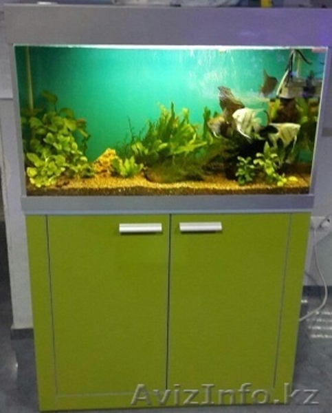 Изготовление и  готовые аквариумы алматы - Изображение #6, Объявление #1365122
