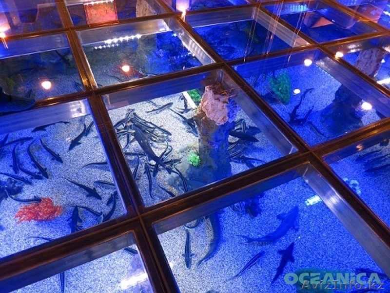 Изготовление и  готовые аквариумы алматы - Изображение #4, Объявление #1365122
