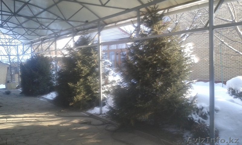 12 ком.дом в г.Талгар, р-н выше акимата - Изображение #3, Объявление #1371746