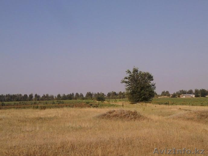 Срочно. Продаю земельный участок сельскохозяйственного назначения 40га - Изображение #4, Объявление #1374239