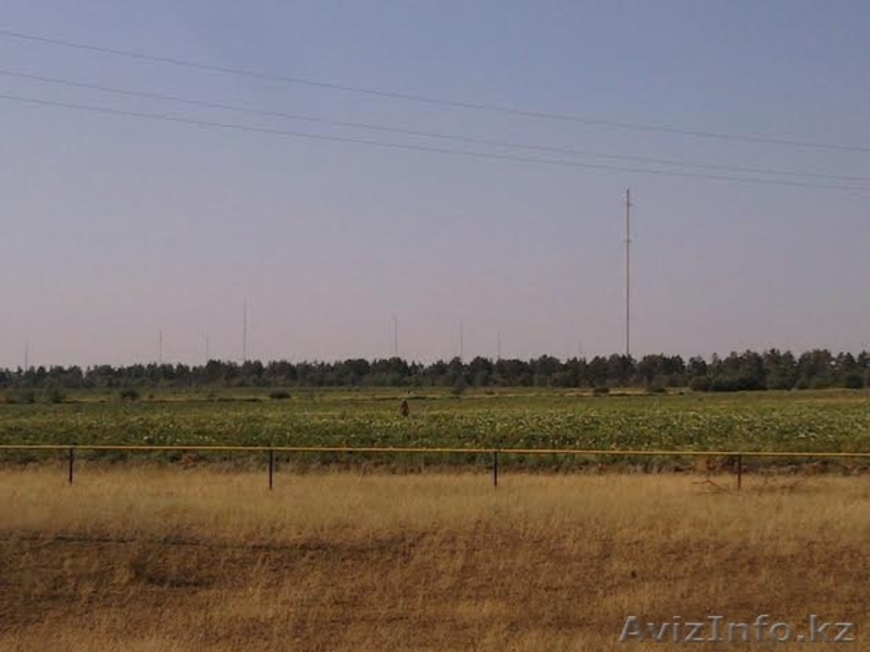 Срочно. Продаю земельный участок сельскохозяйственного назначения 40га - Изображение #3, Объявление #1374239