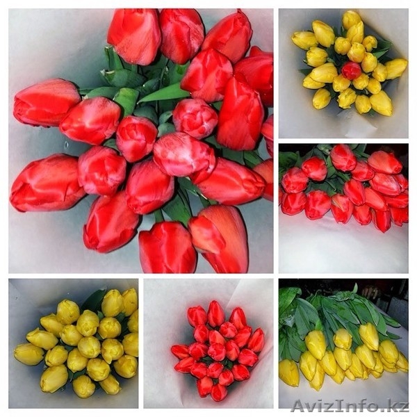 Продаем тюльпаны на 8 марта - Изображение #3, Объявление #1375912