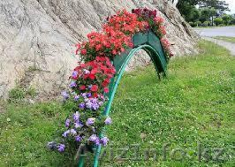 Озеленение,ландшафтный дизайн - Изображение #4, Объявление #1375322