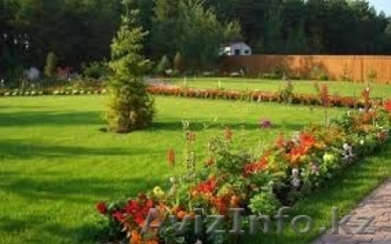 Озеленение,ландшафтный дизайн - Изображение #5, Объявление #1375322