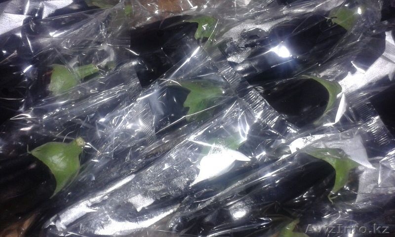 Поставка овощей и фруктов из Испании - Изображение #4, Объявление #1379076