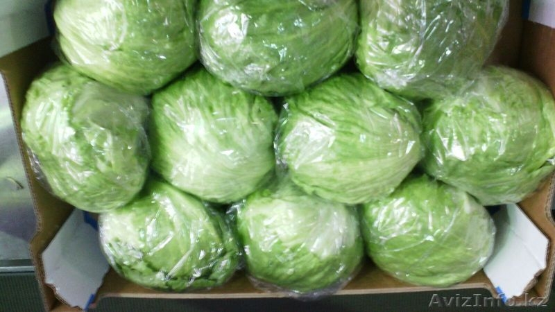 Поставка овощей и фруктов из Испании - Изображение #5, Объявление #1379076