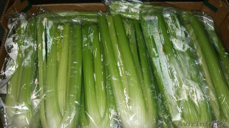 Поставка овощей и фруктов из Испании - Изображение #6, Объявление #1379076