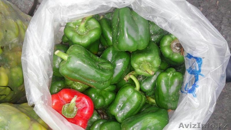 "Узагро-импортКазахстан" - Изображение #4, Объявление #1372074