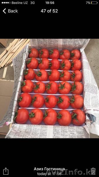 "Узагро-импортКазахстан" - Изображение #5, Объявление #1372074